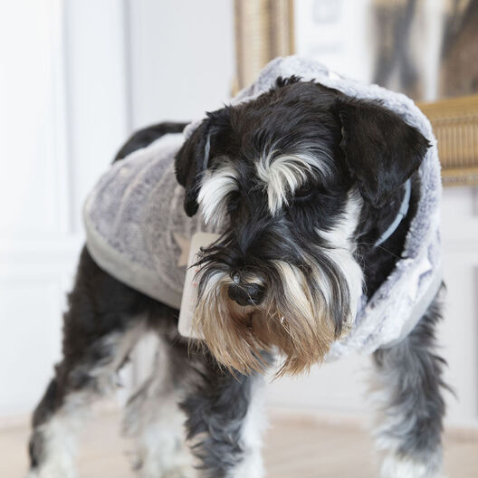 Outech Fleece Sudadera Gris con Estampado de Estrellas para perros, , large image number null